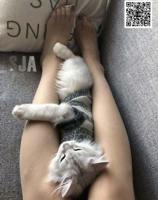 满天星电影在线观看完整免费高清
