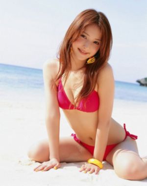 三分野电视剧免费观看完整版高清