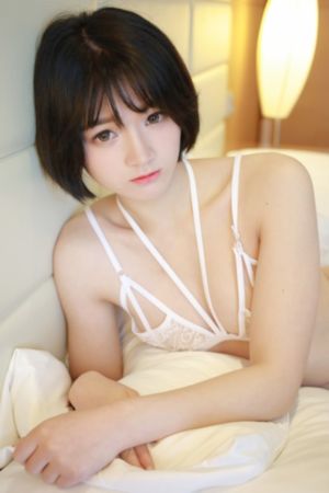 2024电影免费在线观看