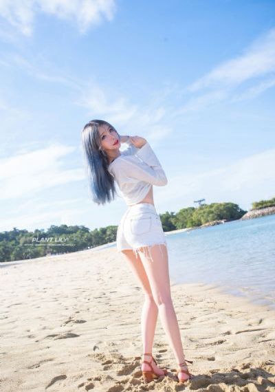 柿子
